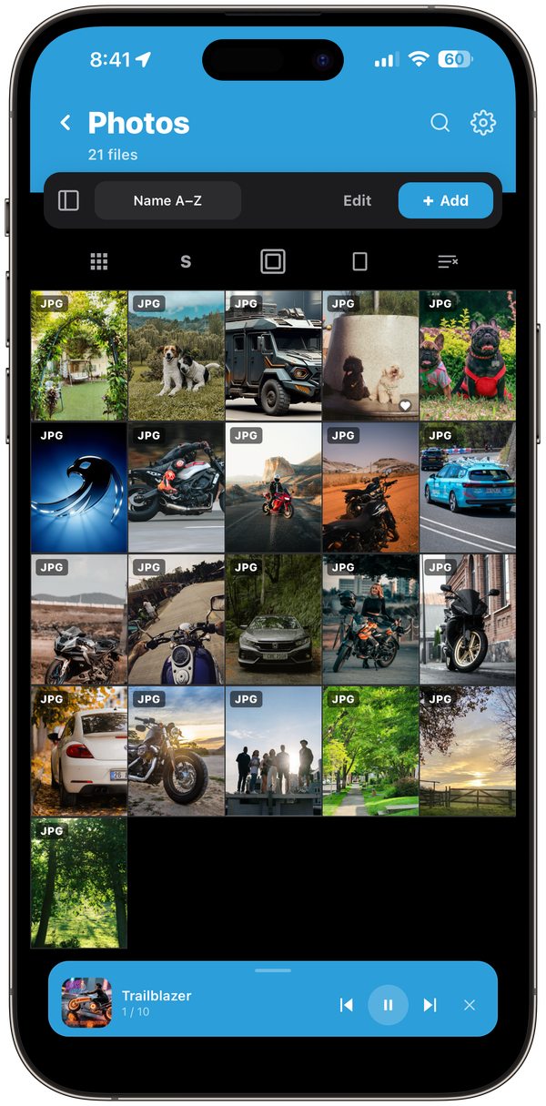 Falcon photo grid